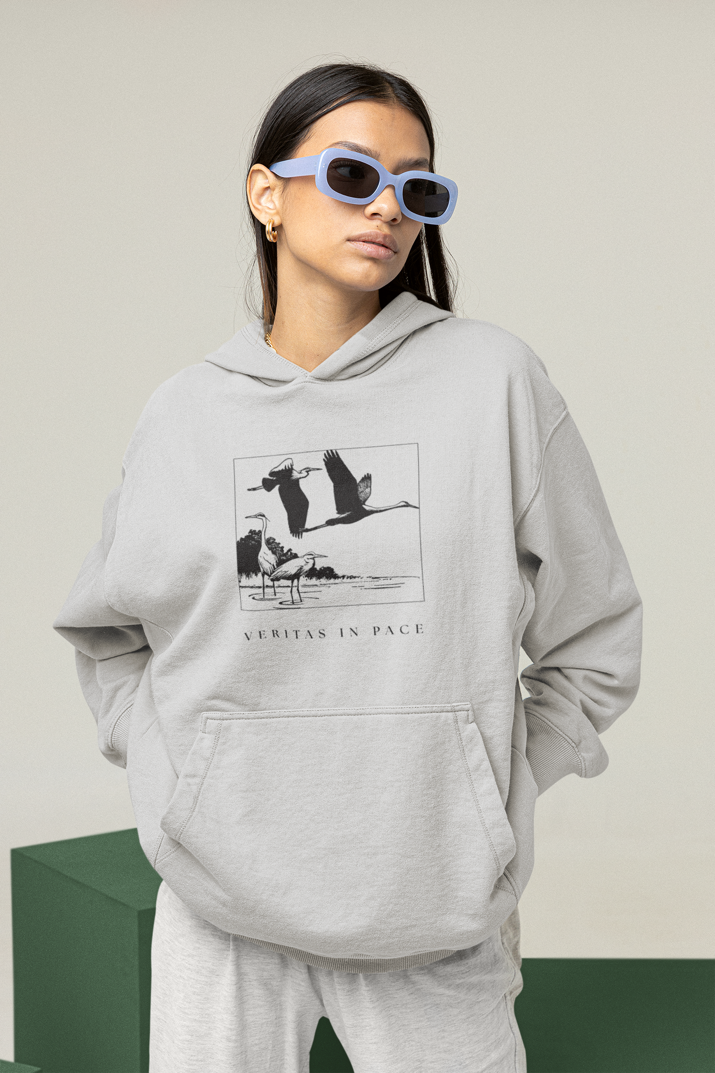 Oversized heavyweight hoodie women's fit – heron graphic, front view
