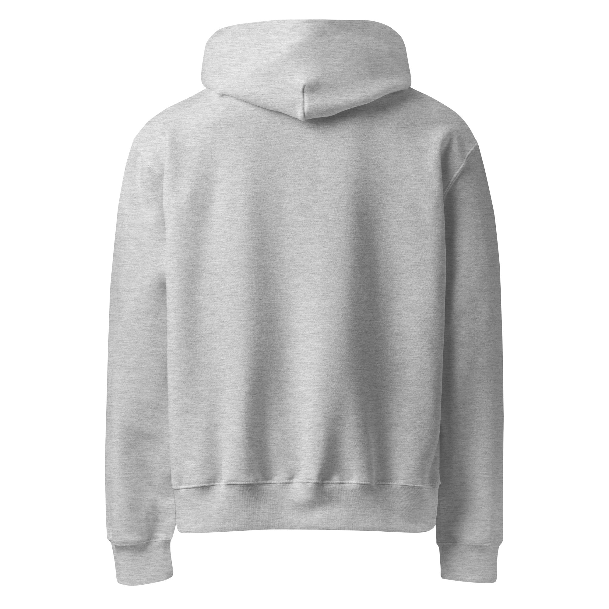 Angelfish Hoodie in grey — oversized heavyweight fleece sweatshirt with original angelfish graphic, back view