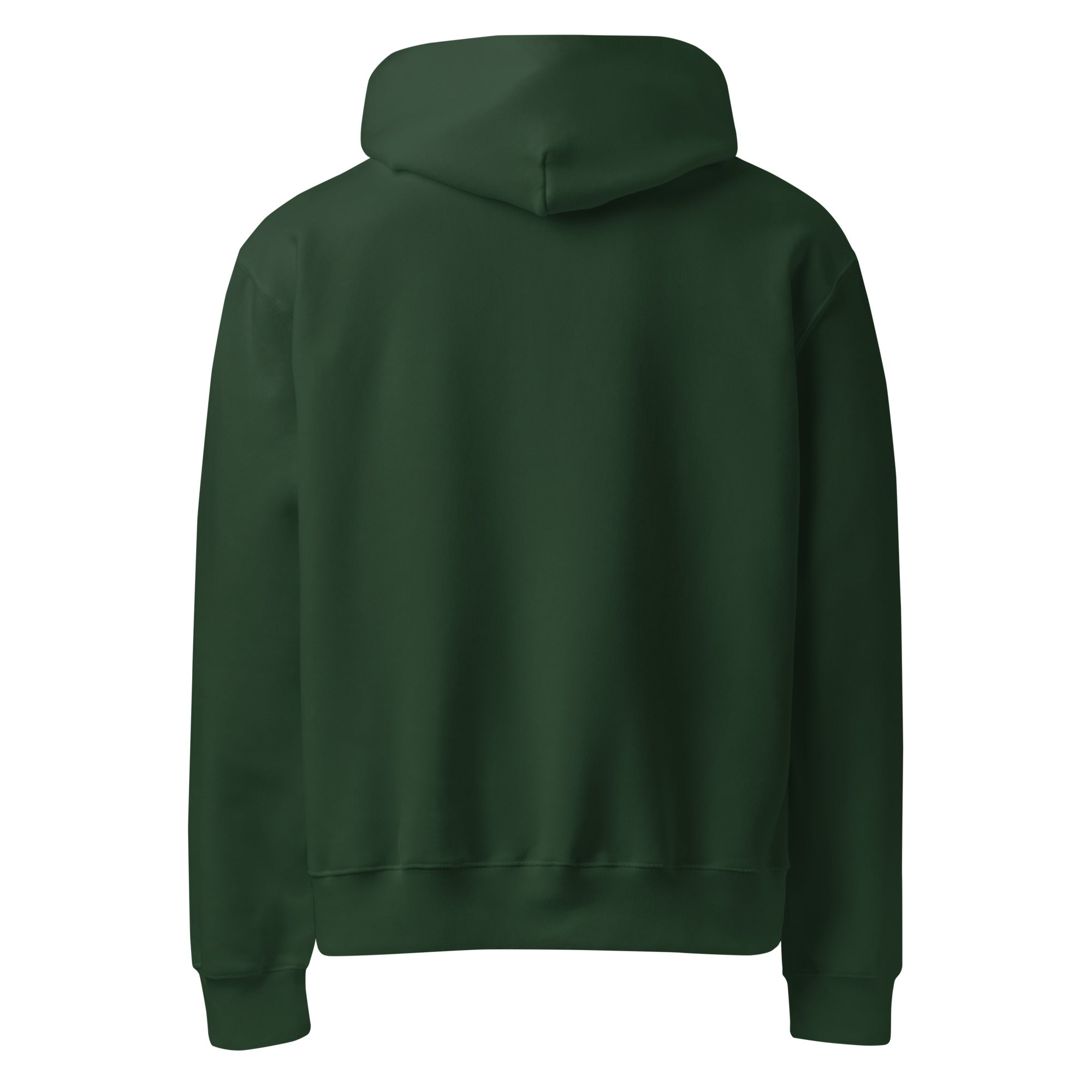 Angelfish graphic oversized heavyweight hoodie in forest green back